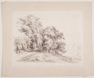 经过树木和草地的栅栏公路 作者 Axel Schovelin