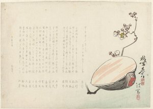 Schelp 作者 绫冈佑心