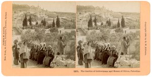 巴勒斯坦，客西马尼园和橄榄山花园，1898年。