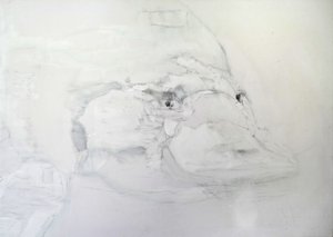 鸭嘴兽