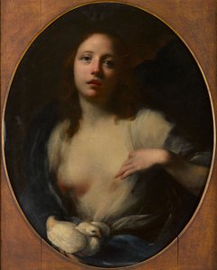 少女与白鸽油画（布面油画） 作者 巴尔达萨雷 (1611 89) 弗朗西斯基尼