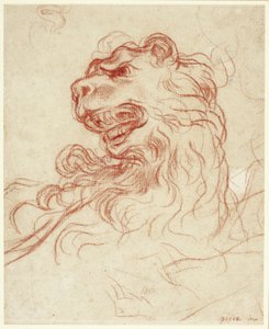 狮头研究 作者 Baldassare Franceschini