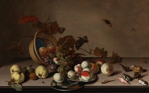 水果静物，柳条筐，贻贝和蝴蝶，17世纪上半叶。 作者 Balthasar van der Ast