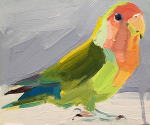Lovebird, 2017