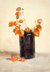 黑色花瓶中的花（纸面水彩画）