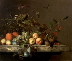 水果片与蜻蜓，1692年 作者 Barend或Bernardus van der Meer