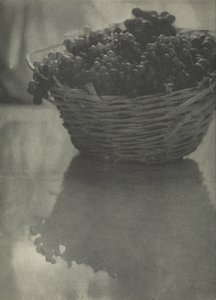 静物与葡萄