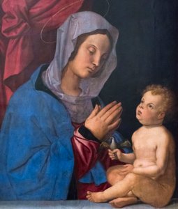 麦当娜和孩子，c.1503（木板油画） 作者 蒙大拿州Bartolomeo