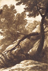 树木繁茂的风景 作者 Bartolomeo Torregiani