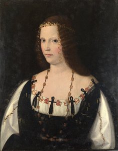 一位年轻女士的画像，c。 1510