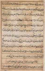 鹦鹉的故事》中的一页Tuti-nama：文本页，约1560年。 作者 巴萨瓦纳