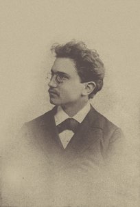 作曲家汉斯-胡贝尔的肖像 1852-1921年，1898年。 作者 巴塞尔。摄影工作室 Taescher and Signer