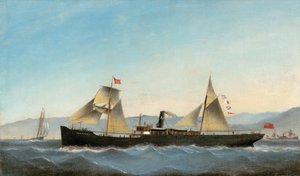 S.S. Glanrheidol 作者 巴西·伊万科维奇