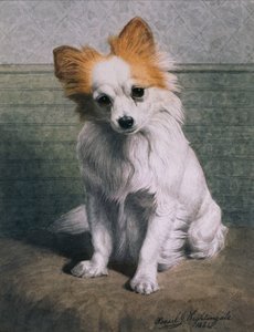 玩具狗 作者 罗勒·J·南丁格尔