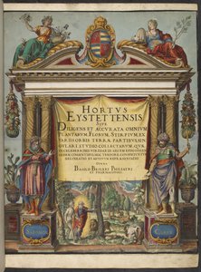 扉页，选自《Hortus Eystettensis