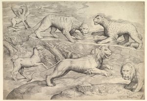 六种动物，包括狮子、老虎、豹子、狮鹫和山羊，约1530-61年。