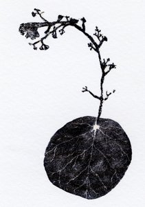 地衣叶，2014（木刻、拼贴纸） 作者 贝拉·拉尔森（Bella Larsson）