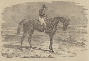 安多弗，1854年的德比冠军 作者 本杰明·鲱鱼