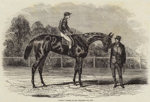 南希，古德伍德杯冠军，1851年