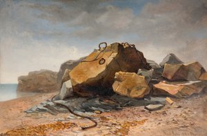 康沃尔郡马拉齐恩的海滩景象，1860年。 作者 本杰明·约翰逊
