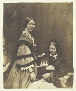 克莱克夫人抱着猫，约1858年。 作者 本杰明·穆洛克
