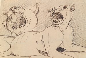 雌狮研究 作者 本杰明·罗伯特·海顿