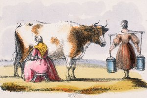 牛奶"，约1845年 作者 罗伯特·肯特·托马斯