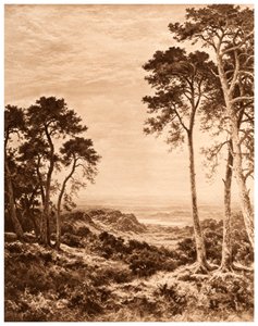 雨后的日落，1903年 作者 本杰明·威廉姆斯（Benjamin Williams）领导人