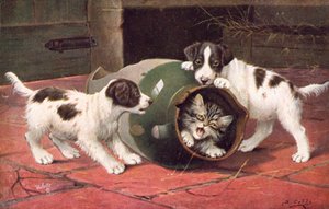 猫明信片（彩色平版）