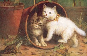 猫明信片（彩色平版）