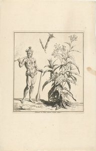 烟草植物和美洲原住民
Nicotiane ou Tabac d