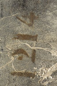 路易十五便桶，约1740年（ormolu安装的中国黑色，彩色和镀金漆，蛇纹石，大理石和弗尼斯） 作者 伯纳德·范·里森堡