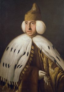 卢多维科-马宁总督（1725-1802 年）肖像，贝尔纳迪诺-卡斯泰利（1750-1810 年）的画作 作者 贝纳迪诺·卡斯特利