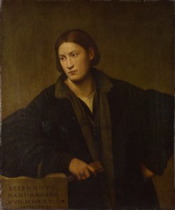 Stefano Nani的肖像，1528年 作者 贝纳迪诺·利辛尼奥