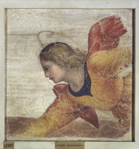 Angel 作者 贝纳迪诺·路易尼