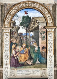 牧羊人的崇拜 壁画 by Pinturicchio (Bernardino di Betto) (1454-1513) 1484-1492 人民圣玛丽亚大教堂（人民圣玛丽亚教堂），Cappella Basso della Rovere 罗马意大利