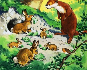 水獭翻尾
