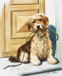狗叼着绳子（水粉画，纸本）