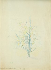 湖边的灌木丛，1893年（彩色铅笔在纸上） 作者 贝特·莫里索（Berthe Morisot）