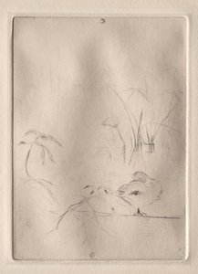 鸭子 作者 贝特·莫里索（Berthe Morisot）
