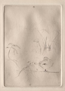 鸭子 作者 贝特·莫里索（Berthe Morisot）