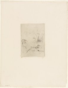 鸭子 作者 贝特·莫里索（Berthe Morisot）