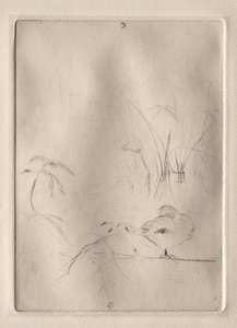 鸭子，1888-90年。 作者 贝特·莫里索（Berthe Morisot）