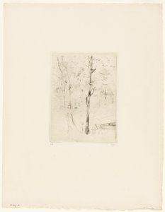 布洛涅森林湖 作者 贝特·莫里索（Berthe Morisot）