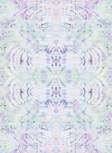 翅膀》，2014 年（混合媒体数字印刷品）
