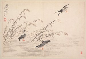 书画相册 作者 边寿民