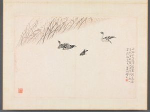 书画相册 作者 边寿民
