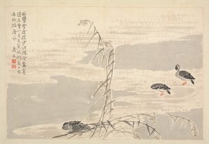 书画相册