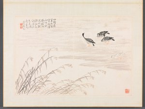 书画相册