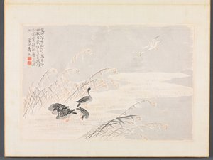 书画相册